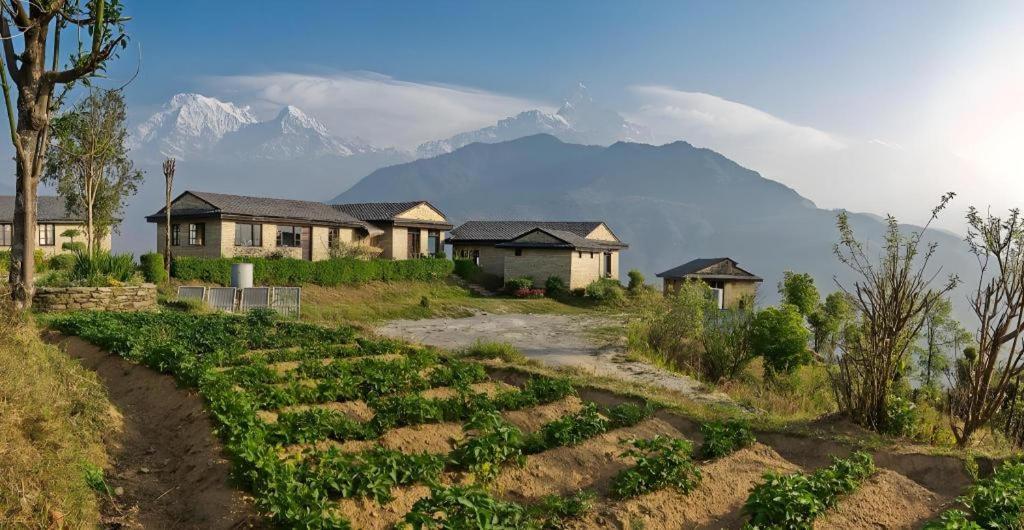 Hananoie - A Permaculture Resort Pokhara Kültér fotó